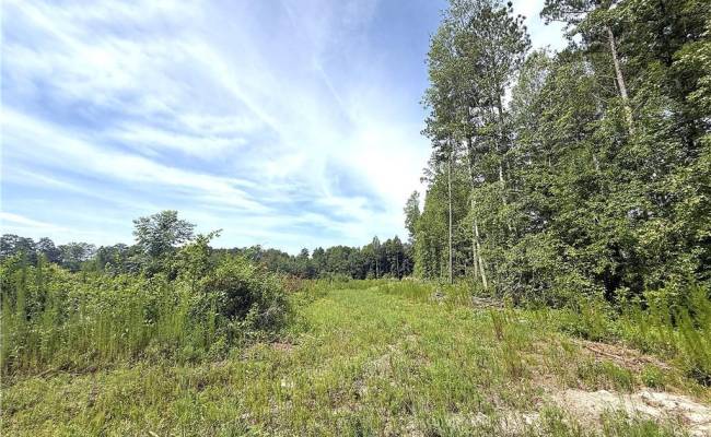 19.2Ac Hollybush Road, Surry County, VA 23839