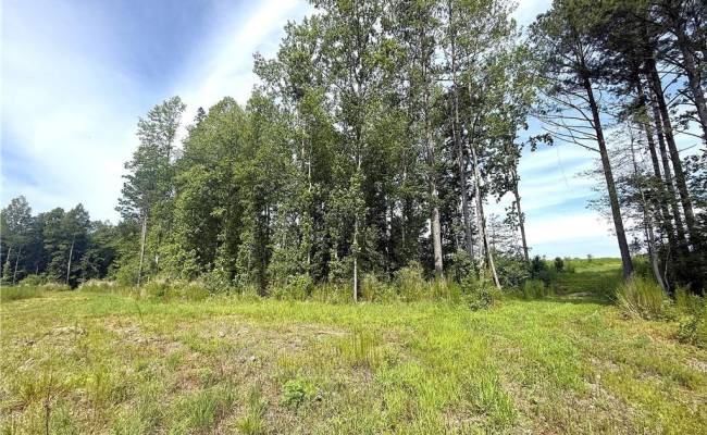 19.2Ac Hollybush Road, Surry County, VA 23839