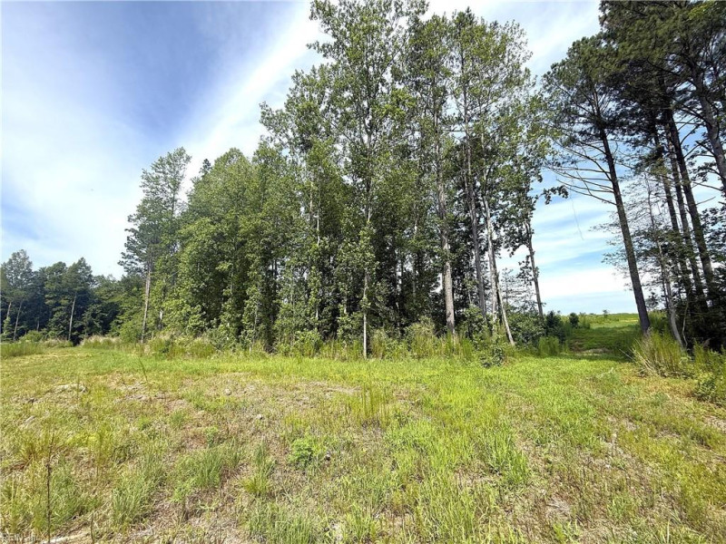 Photo 19 of 37 land for sale in Surry County virginia Photo 19 of 37 land for sale in Surry County virginia