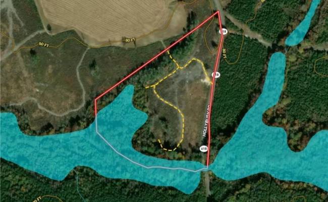 19.2Ac Hollybush Road, Surry County, VA 23839