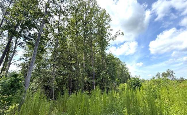 19.2Ac Hollybush Road, Surry County, VA 23839