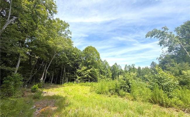 19.2Ac Hollybush Road, Surry County, VA 23839