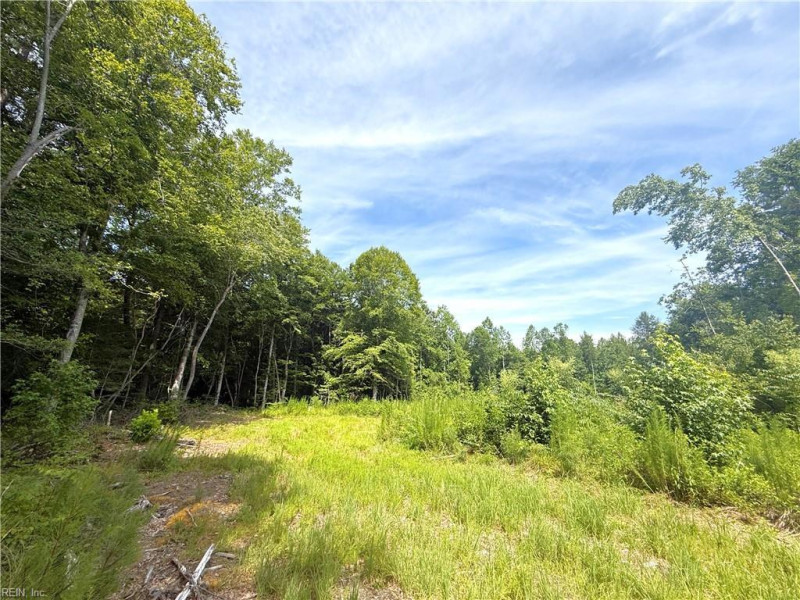 Photo 22 of 37 land for sale in Surry County virginia Photo 22 of 37 land for sale in Surry County virginia