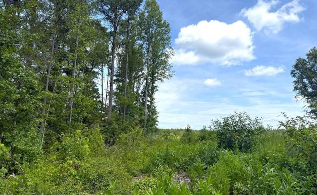 19.2Ac Hollybush Road, Surry County, VA 23839