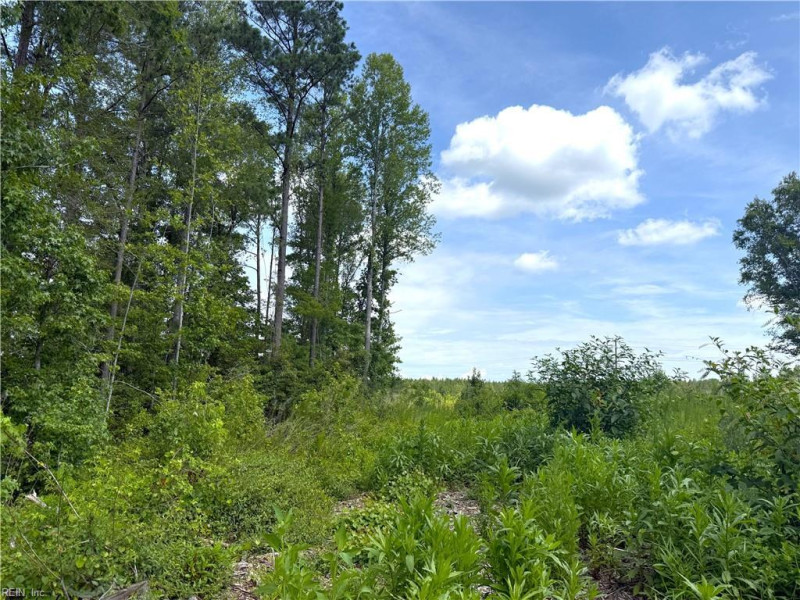 Photo 23 of 37 land for sale in Surry County virginia Photo 23 of 37 land for sale in Surry County virginia