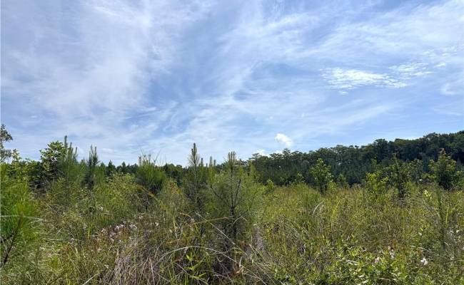 19.2Ac Hollybush Road, Surry County, VA 23839