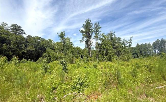 19.2Ac Hollybush Road, Surry County, VA 23839