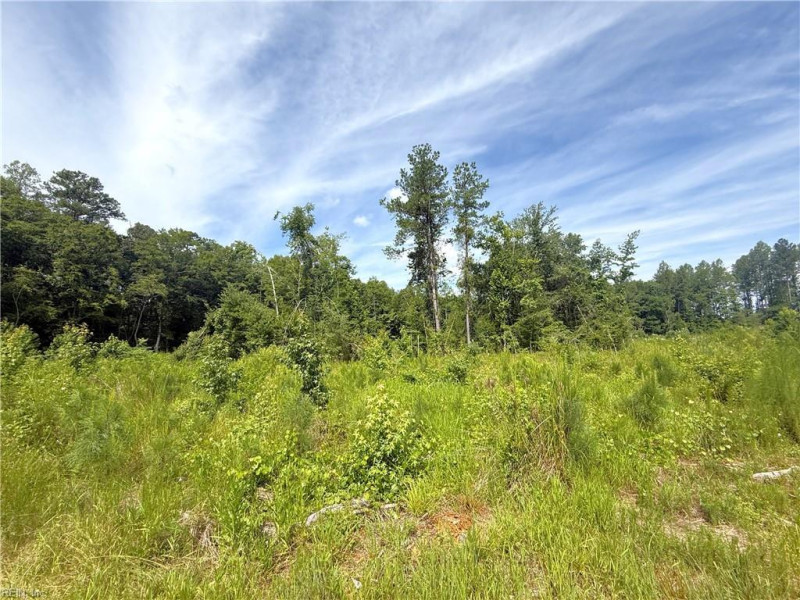 Photo 25 of 37 land for sale in Surry County virginia Photo 25 of 37 land for sale in Surry County virginia