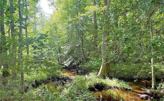 19.2Ac Hollybush Road, Surry County, VA 23839