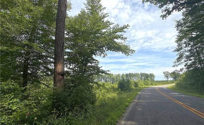 19.2Ac Hollybush Road, Surry County, VA 23839