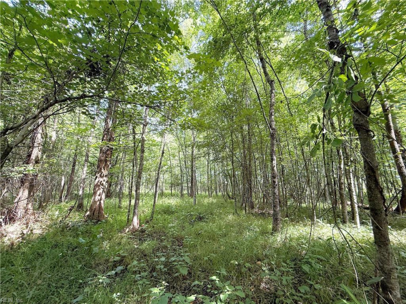 Photo 31 of 37 land for sale in Surry County virginia Photo 31 of 37 land for sale in Surry County virginia