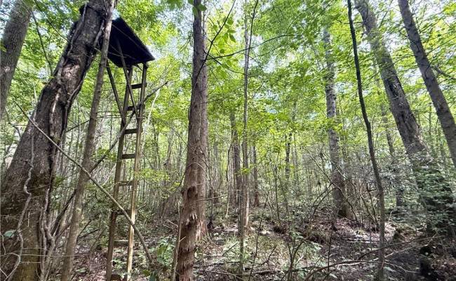 19.2Ac Hollybush Road, Surry County, VA 23839
