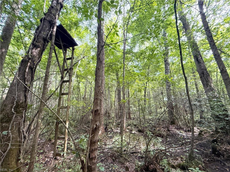 Photo 32 of 37 land for sale in Surry County virginia Photo 32 of 37 land for sale in Surry County virginia