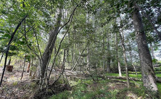 19.2Ac Hollybush Road, Surry County, VA 23839