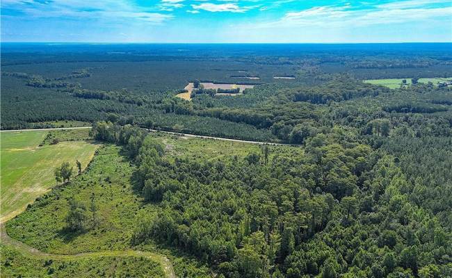 19.2Ac Hollybush Road, Surry County, VA 23839