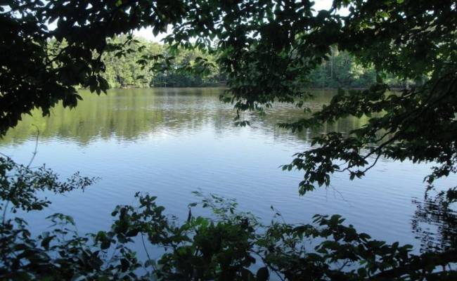 2281 Kings Fork Road, Suffolk, VA 23434