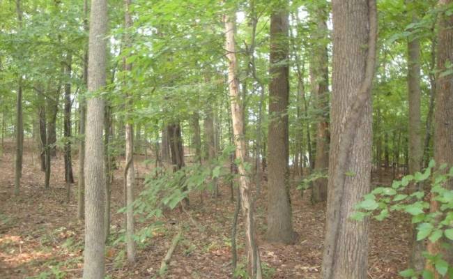 2281 Kings Fork Road, Suffolk, VA 23434