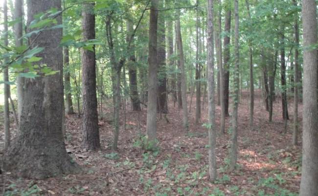 2281 Kings Fork Road, Suffolk, VA 23434
