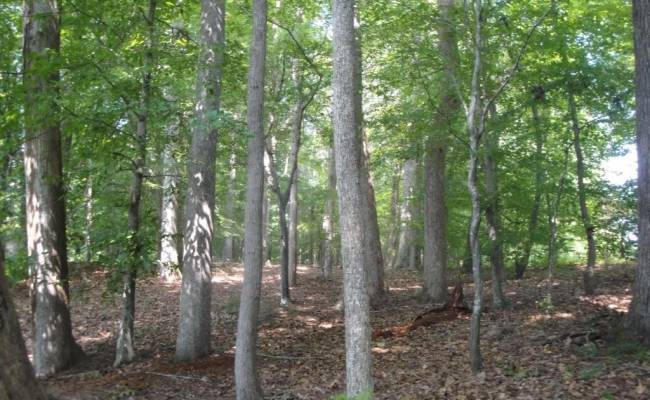 2281 Kings Fork Road, Suffolk, VA 23434