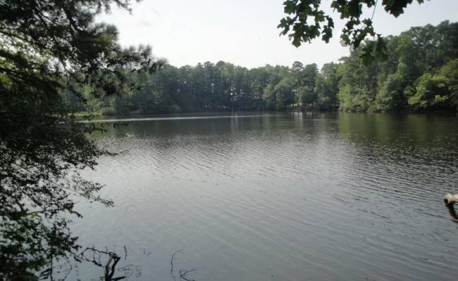 2281 Kings Fork Road, Suffolk, VA 23434