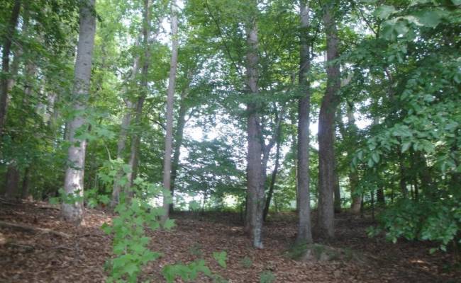 2281 Kings Fork Road, Suffolk, VA 23434