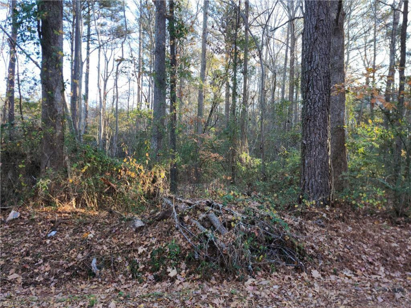 Photo 1 of 1 land for sale in Chesapeake virginia Photo 1 of 1 land for sale in Chesapeake virginia