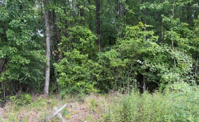 LOTS Railroad Avenue, Sussex County, VA 23888