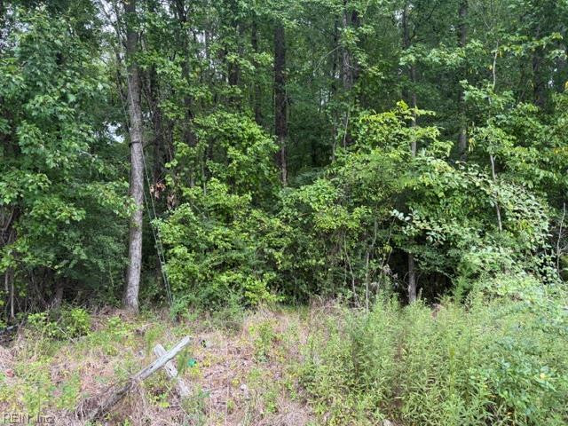 Photo 10 of 12 land for sale in Sussex County virginia Photo 10 of 12 land for sale in Sussex County virginia