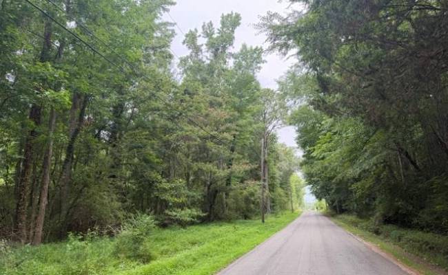 LOTS Railroad Avenue, Sussex County, VA 23888