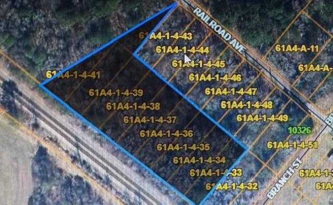 LOTS Railroad Avenue, Sussex County, VA 23888