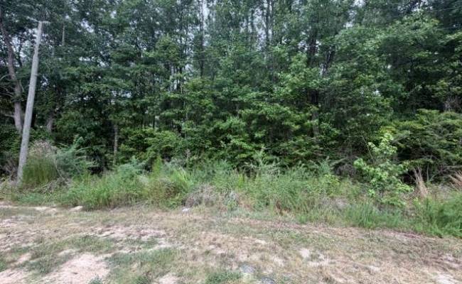 LOTS Railroad Avenue, Sussex County, VA 23888