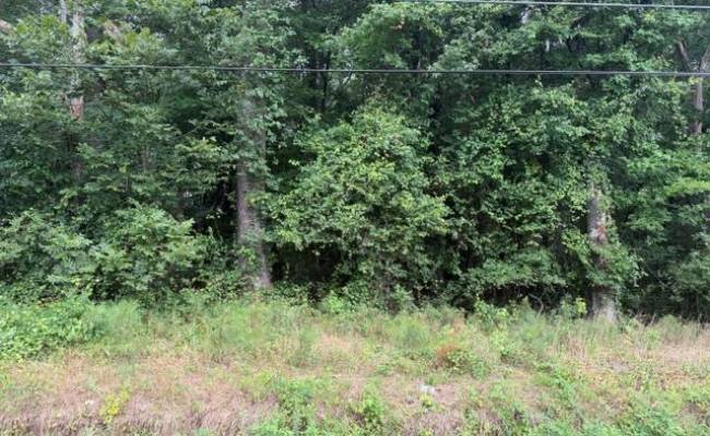 LOTS Railroad Avenue, Sussex County, VA 23888