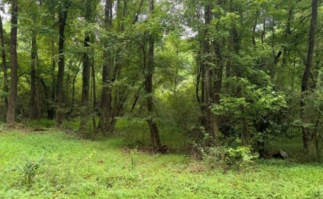 LOTS Railroad Avenue, Sussex County, VA 23888