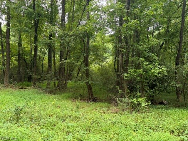 Photo 4 of 12 land for sale in Sussex County virginia Photo 4 of 12 land for sale in Sussex County virginia
