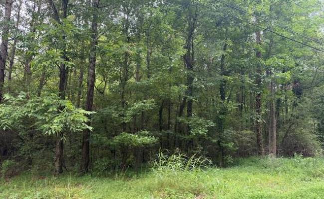 LOTS Railroad Avenue, Sussex County, VA 23888