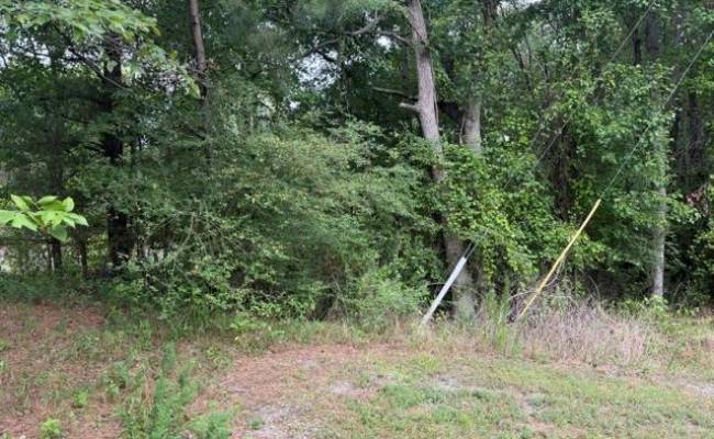 LOTS Railroad Avenue, Sussex County, VA 23888