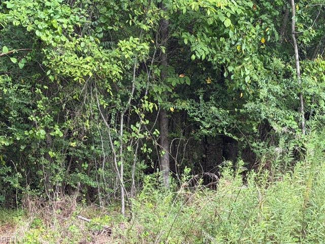 Photo 7 of 12 land for sale in Sussex County virginia Photo 7 of 12 land for sale in Sussex County virginia