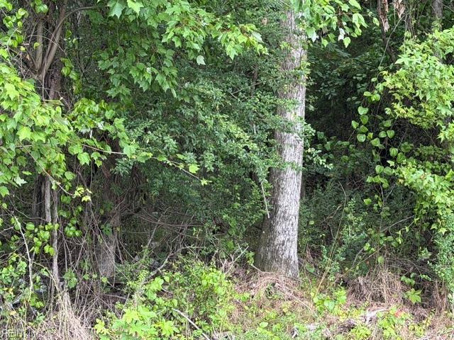 Photo 8 of 12 land for sale in Sussex County virginia Photo 8 of 12 land for sale in Sussex County virginia