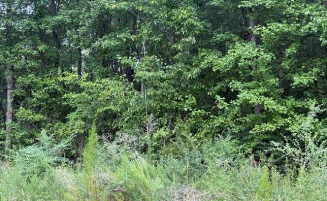 LOTS Railroad Avenue, Sussex County, VA 23888