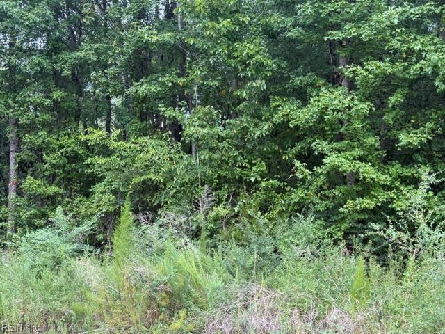 Photo 9 of 12 land for sale in Sussex County virginia Photo 9 of 12 land for sale in Sussex County virginia