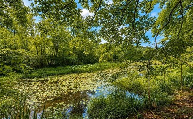 LOT 6 Birdsong Road, Brunswick County, VA 23845