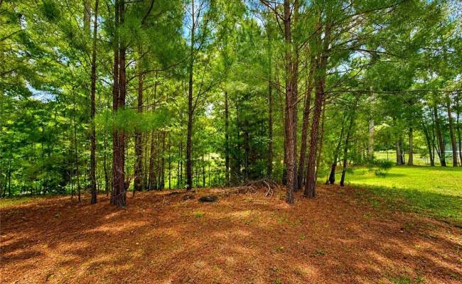 LOT 6 Birdsong Road, Brunswick County, VA 23845