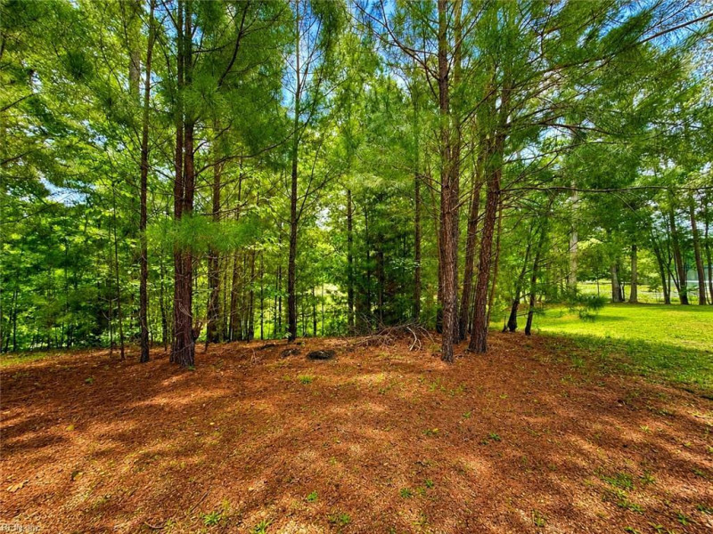 Photo 10 of 18 land for sale in Brunswick County virginia