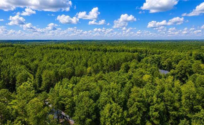 LOT 6 Birdsong Road, Brunswick County, VA 23845