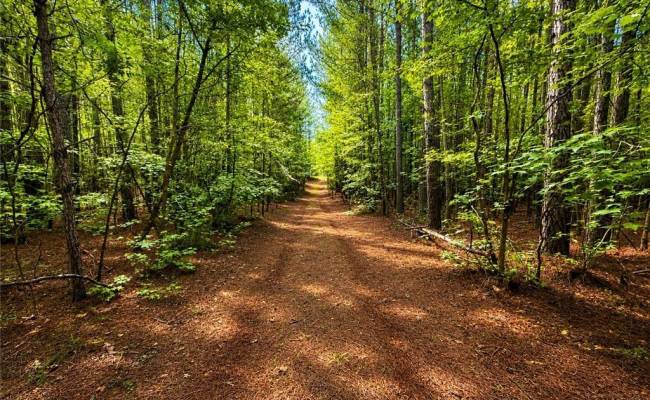 LOT 6 Birdsong Road, Brunswick County, VA 23845