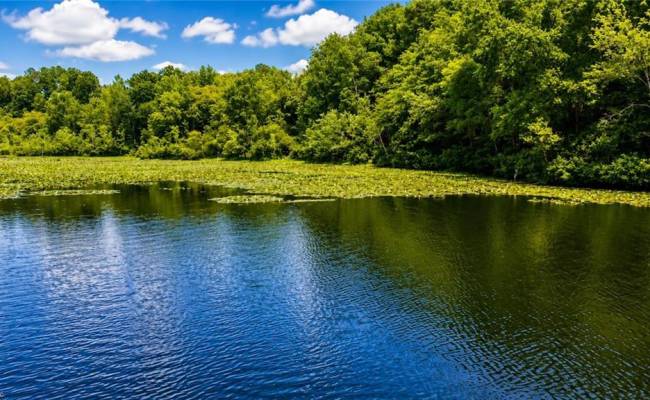 LOT 5 Birdsong Road, Brunswick County, VA 23845