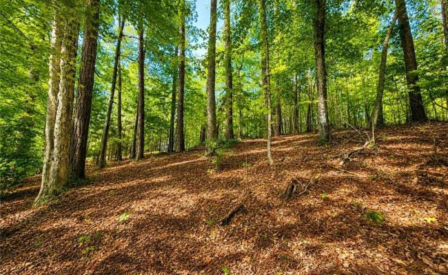 LOT 5 Birdsong Road, Brunswick County, VA 23845