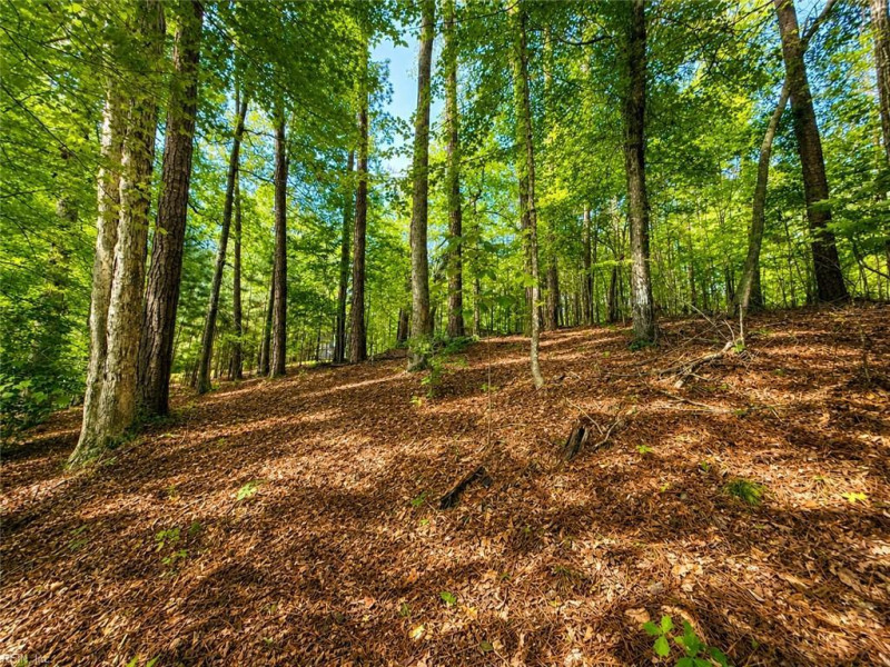 Photo 6 of 15 land for sale in Brunswick County virginia Photo 6 of 15 land for sale in Brunswick County virginia