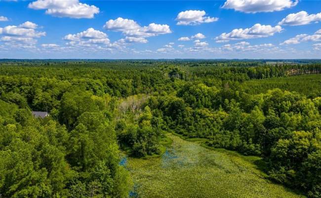LOT 5 Birdsong Road, Brunswick County, VA 23845