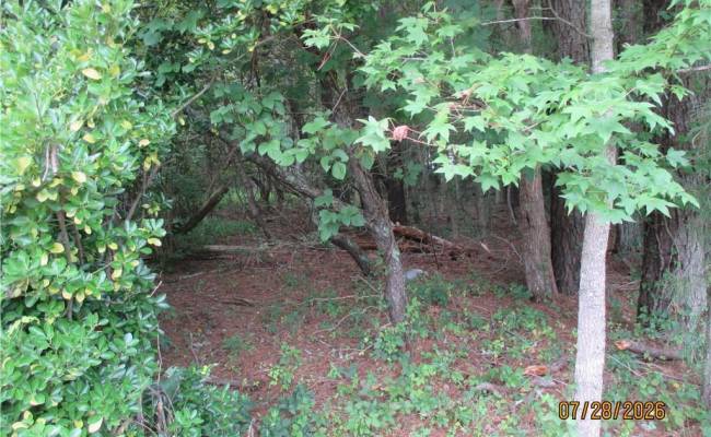 5701 Old Union Road, Charles City County, VA 23030